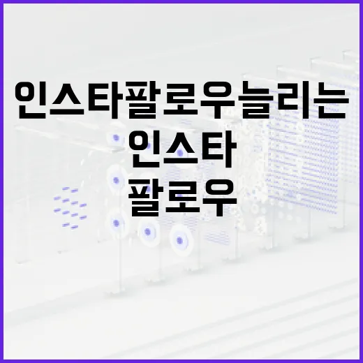 인스타팔로우 늘리는 방법, 초보자가 먼저 손봐야 할 5가지 - 요약