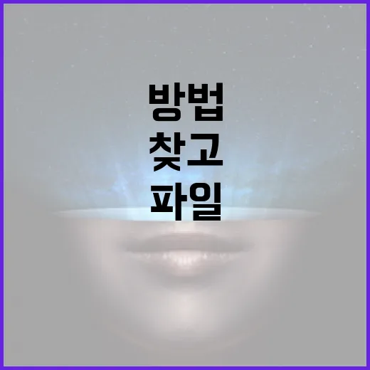화이트큐레무 자료 찾고 파일로 관리하는 방법 - 요약