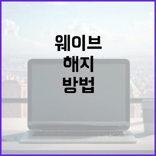 웨이브 이용권 해지하는 방법, 자동결제 막으려면 이렇게 하세요 - 요약