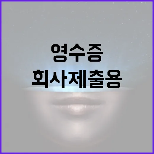 쿠팡 영수증 PDF로 저장하는 방법, 회사 제출용이면 이렇게 하면 편합니다 - 요약