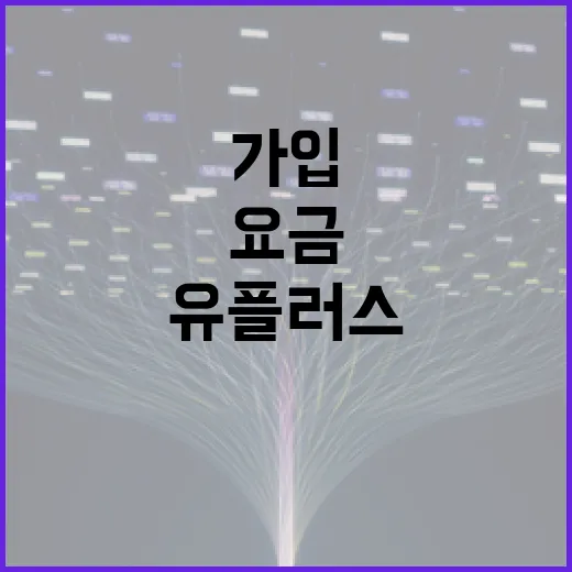 유플러스넷플릭스 가입하고 요금 아끼려면 이렇게 확인하세요 - 요약