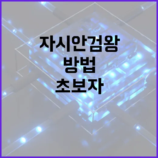 자시안 검왕 쓰는 방법: 초보자가 헷갈리는 특성, 도구, 운영 포인트 - 요약