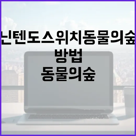 닌텐도스위치동물의숲 처음 시작하는 방법, 저장·이사·섬 꾸미기까지 이렇게 하면 편합니다 - 요약