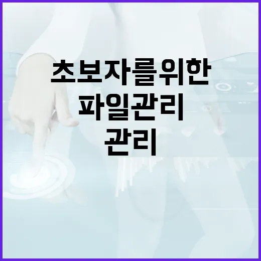 초보자를 위한 노트북 파일 관리와 속도 관리 방법 - 요약