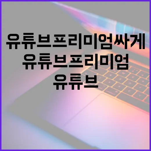 유튜브프리미엄싸게 쓰려면 이렇게 고르세요 - 요약