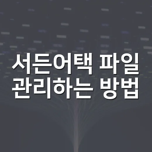 서든어택 파일 관리하는 방법: 스크린샷, 리플레이, 설정 백업까지 한 번에 - 요약