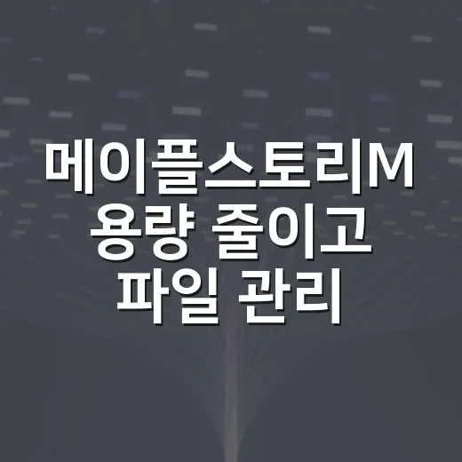 메이플스토리M 용량 줄이고 파일 관리하는 방법 - 요약