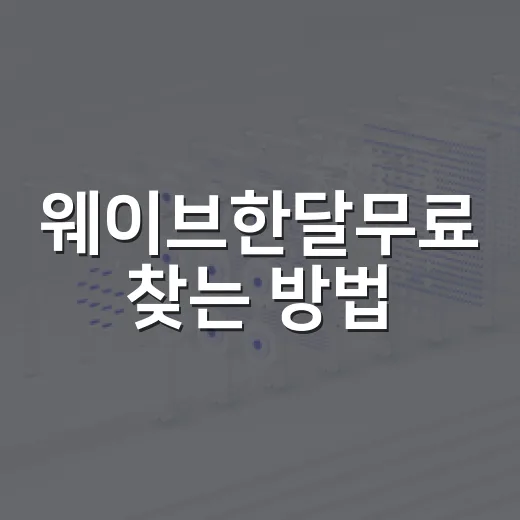 웨이브한달무료 찾는 방법, 100원·페이백 혜택까지 헷갈리지 않게 확인하기 - 요약