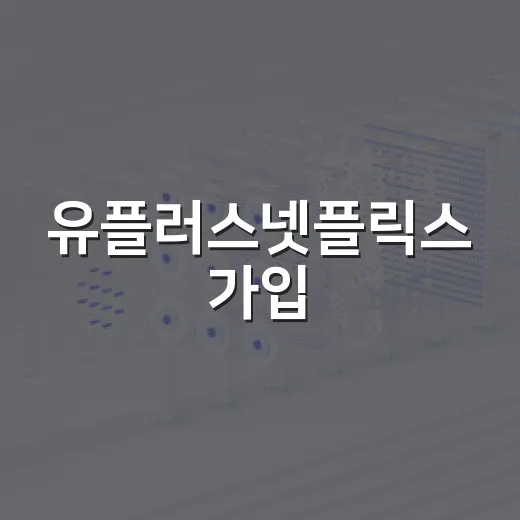 유플러스넷플릭스 가입·해지·요금 확인하는 방법, 헷갈리는 포인트만 골라서 - 요약