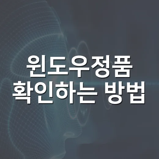 윈도우정품 확인하는 방법, 제품 키 없이도 체크하려면 이렇게 - 요약