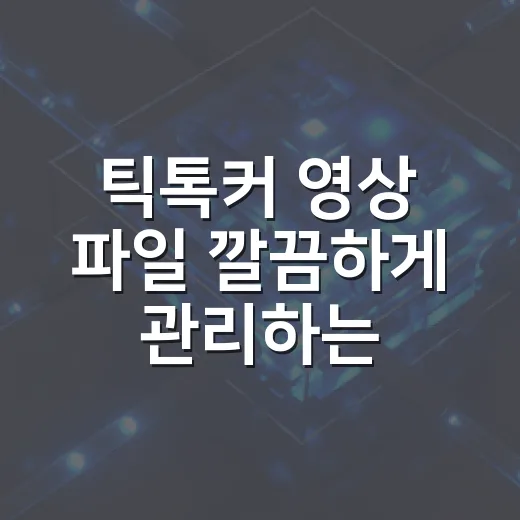 틱톡커 영상 파일 깔끔하게 관리하는 방법 - 요약