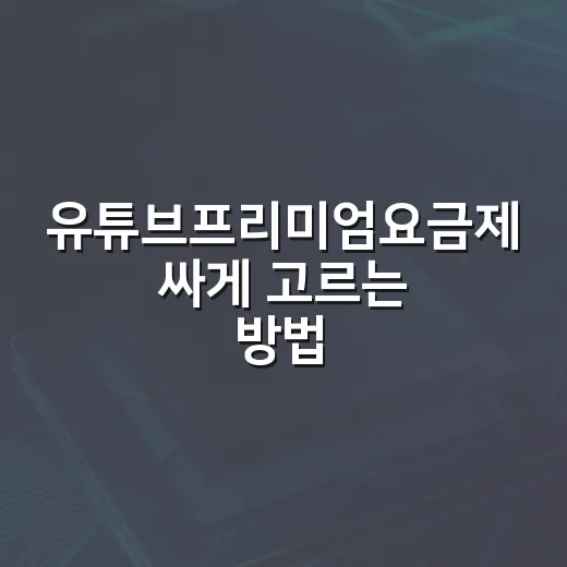 유튜브프리미엄요금제 싸게 고르는 방법, 웹결제와 라이트부터 확인하세요 - 요약