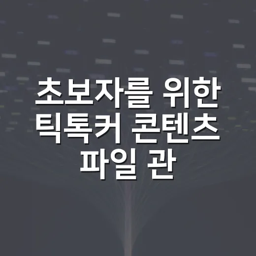 초보자를 위한 틱톡커 콘텐츠 파일 관리하는 방법 - 요약