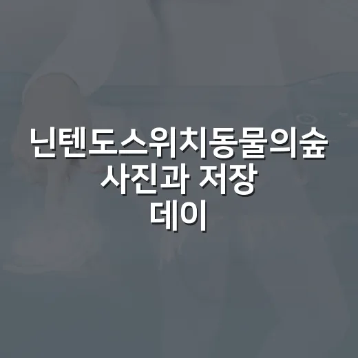 닌텐도스위치동물의숲 사진과 저장 데이터를 깔끔하게 옮기는 방법 - 요약