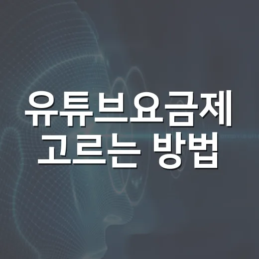 유튜브요금제 고르는 방법, 아이폰 결제 전 꼭 볼 것 - 요약