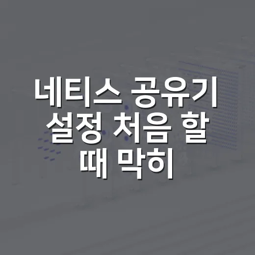 네티스 공유기 설정 처음 할 때 막히지 않는 방법 - 요약