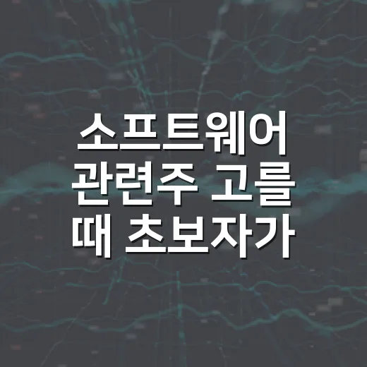소프트웨어 관련주 고를 때 초보자가 먼저 보는 방법 - 요약