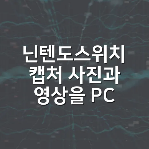 닌텐도스위치 캡처 사진과 영상을 PC로 옮기고 용량 줄이는 방법 - 요약