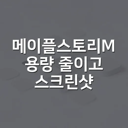 메이플스토리M 용량 줄이고 스크린샷·계정 자료 관리하는 방법 - 요약
