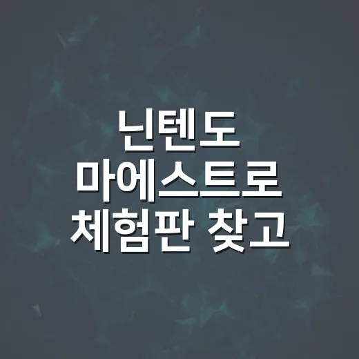 닌텐도 마에스트로 체험판 찾고 설치 공간 확인하는 방법 - 요약