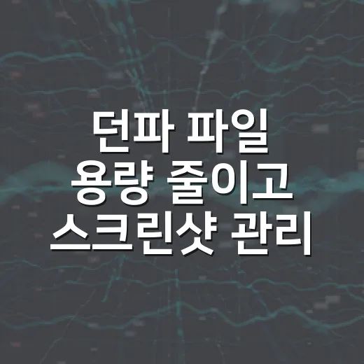 던파 파일 용량 줄이고 스크린샷 관리하는 방법 - 요약