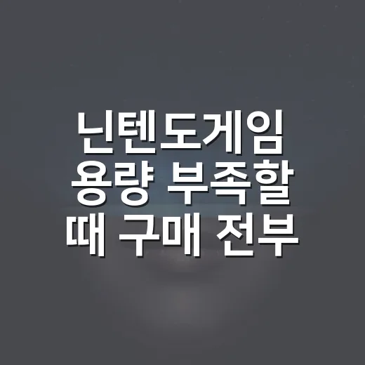 닌텐도게임 용량 부족할 때 구매 전부터 관리하는 방법 - 요약