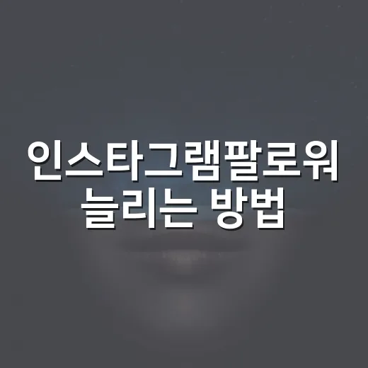 인스타그램팔로워 늘리는 방법, 초보 계정은 이렇게 운영하면 덜 흔들립니다 - 요약