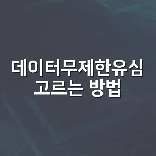 데이터무제한유심 고르는 방법, 해외여행·출장 전에 이렇게 확인하세요 - 요약
