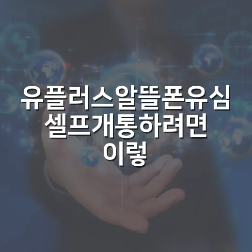 유플러스알뜰폰유심 셀프개통하려면 이렇게 준비하면 됩니다 - 요약