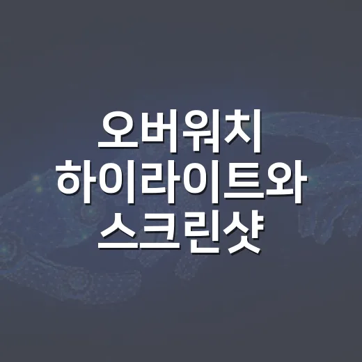 오버워치 하이라이트와 스크린샷 깔끔하게 보관하는 방법 - 요약