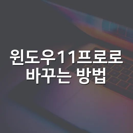 윈도우11프로로 바꾸는 방법, 홈과 다른 점까지 쉽게 고르는 기준 - 요약