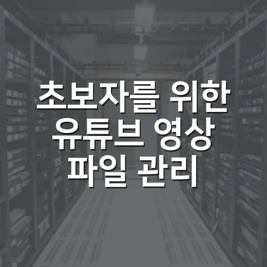 초보자를 위한 유튜브 영상 파일 관리하는 방법 - 요약