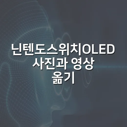 닌텐도스위치OLED 사진과 영상 옮기는 방법 - 요약