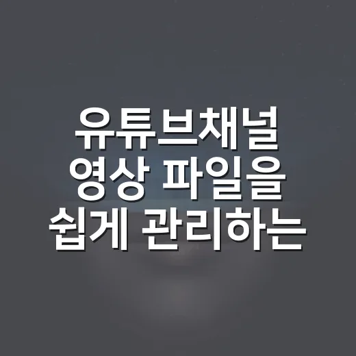 유튜브채널 영상 파일을 쉽게 관리하는 방법 - 요약