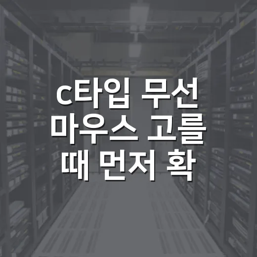 c타입 무선 마우스 고를 때 먼저 확인하는 방법 - 요약