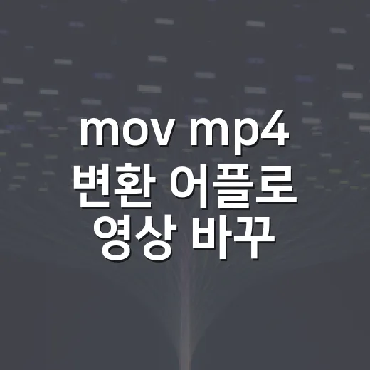 mov mp4 변환 어플로 영상 바꾸는 방법 - 요약