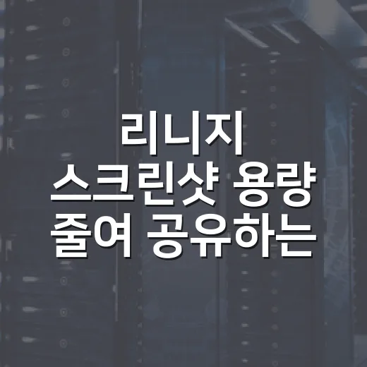 리니지 스크린샷 용량 줄여 공유하는 방법 - 요약