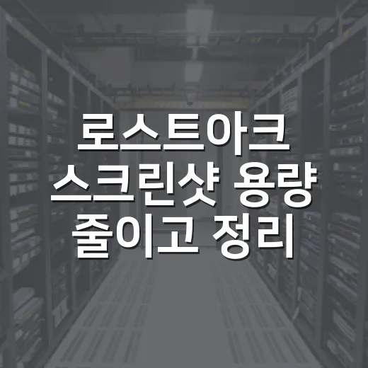 로스트아크 스크린샷 용량 줄이고 정리하는 방법 - 요약