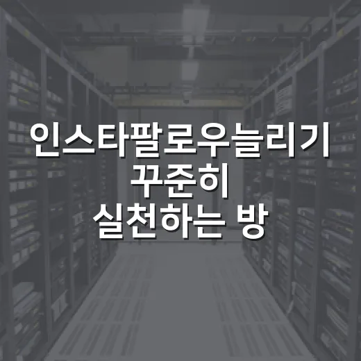 인스타팔로우늘리기 꾸준히 실천하는 방법 - 요약