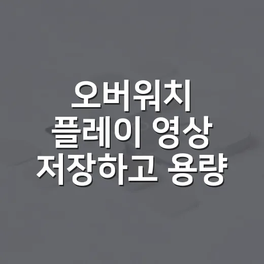 오버워치 플레이 영상 저장하고 용량 줄이는 방법 - 요약