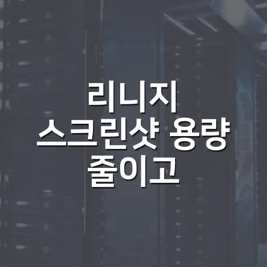 리니지 스크린샷 용량 줄이고 보관하는 방법 - 요약