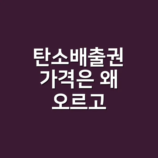 탄소배출권 가격은 왜 오르고 내릴까요? - 요약