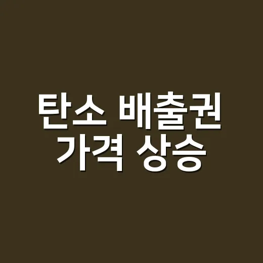 탄소 배출권 가격 상승, 전기요금과 기업 비용까지 이어질까요? - 요약