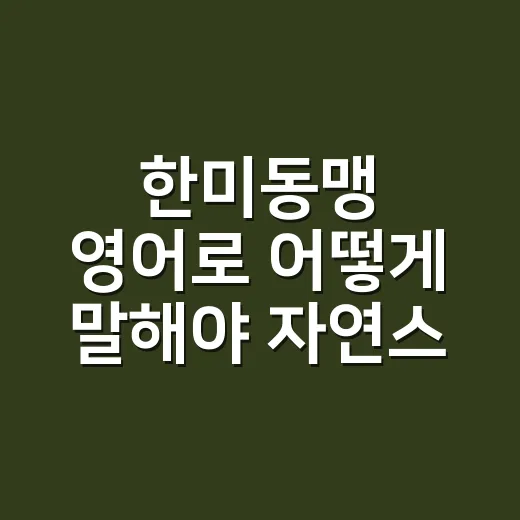 한미동맹 영어로 어떻게 말해야 자연스러울까요? - 요약