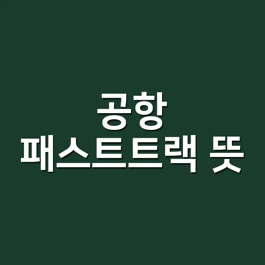 공항 패스트트랙 뜻, 줄을 정말 건너뛰는 제도일까요? - 요약