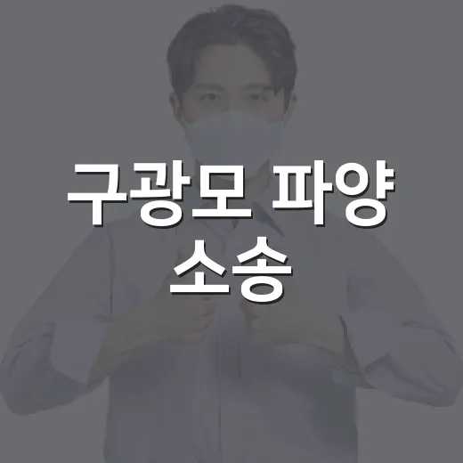 구광모 파양 소송, 왜 상속 분쟁과 함께 보일까요? - 요약