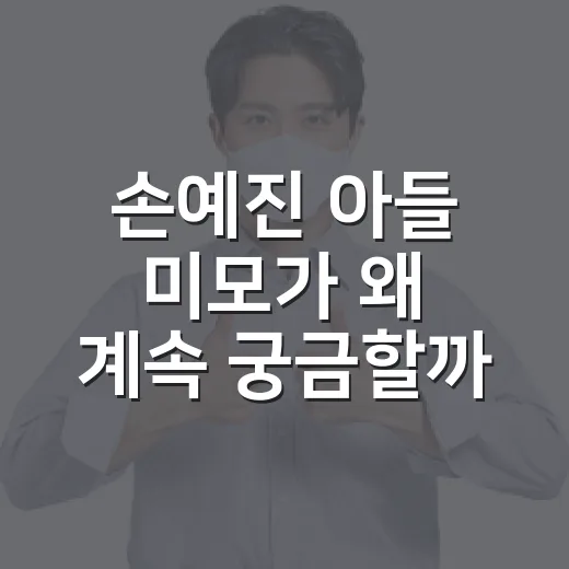 손예진 아들 미모가 왜 계속 궁금할까요? - 요약