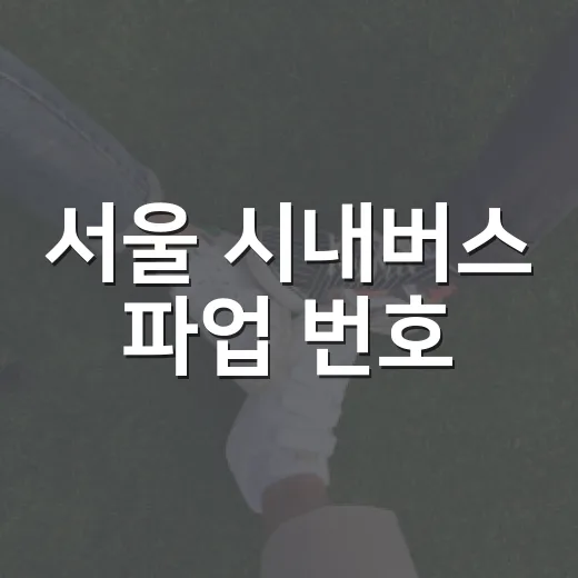 서울 시내버스 파업 번호, 어떤 번호를 확인해야 할까요? - 요약