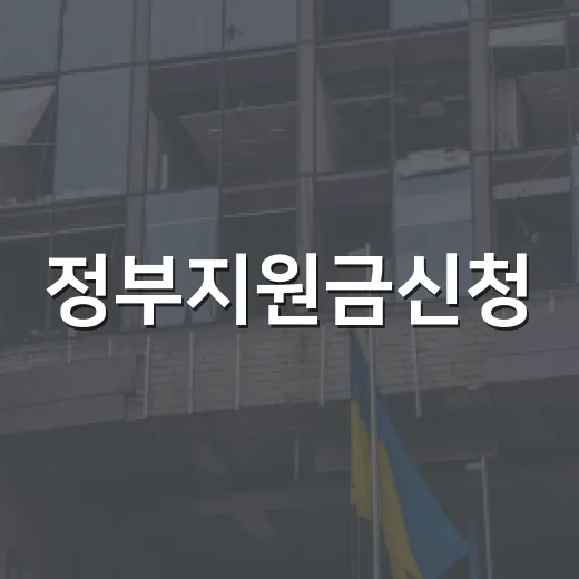 정부지원금신청, 어디서부터 확인하고 계신가요? - 요약