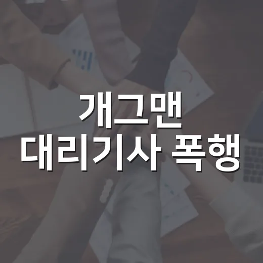 개그맨 대리기사 폭행, 왜 ‘운전자 폭행’ 혐의가 붙었을까요? - 요약